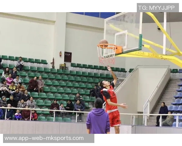 德昌篮球明星的成长之路与辉煌成就探秘